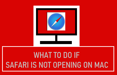 why safari 10.1.2 is not opening